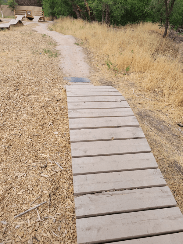 Trackline Skills area