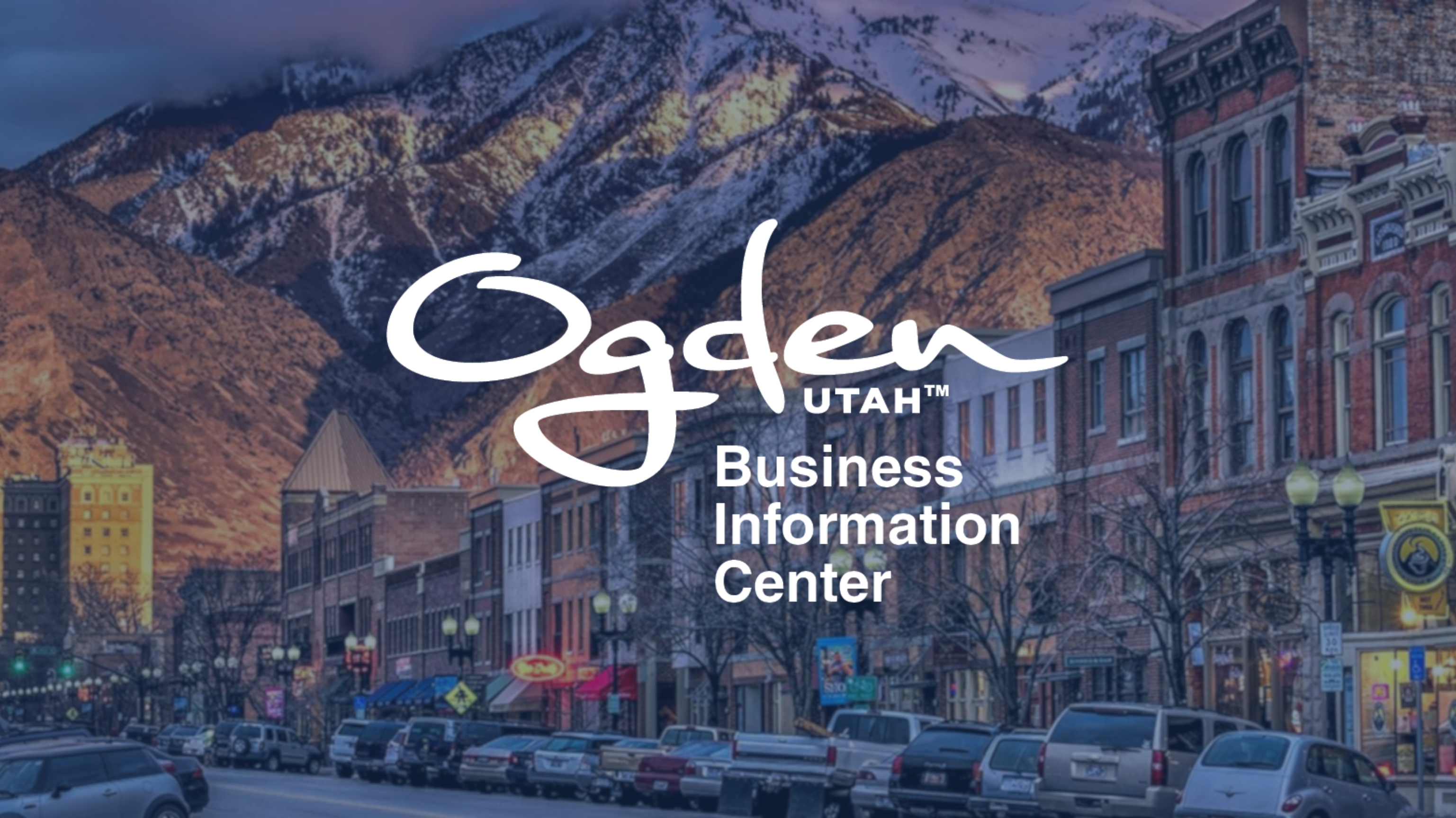 BIC Website Header - BIC Logo