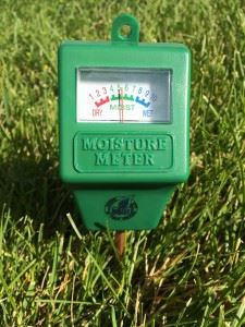 Moisture Meter in Ground