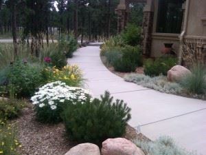 Entry Walk Plantings