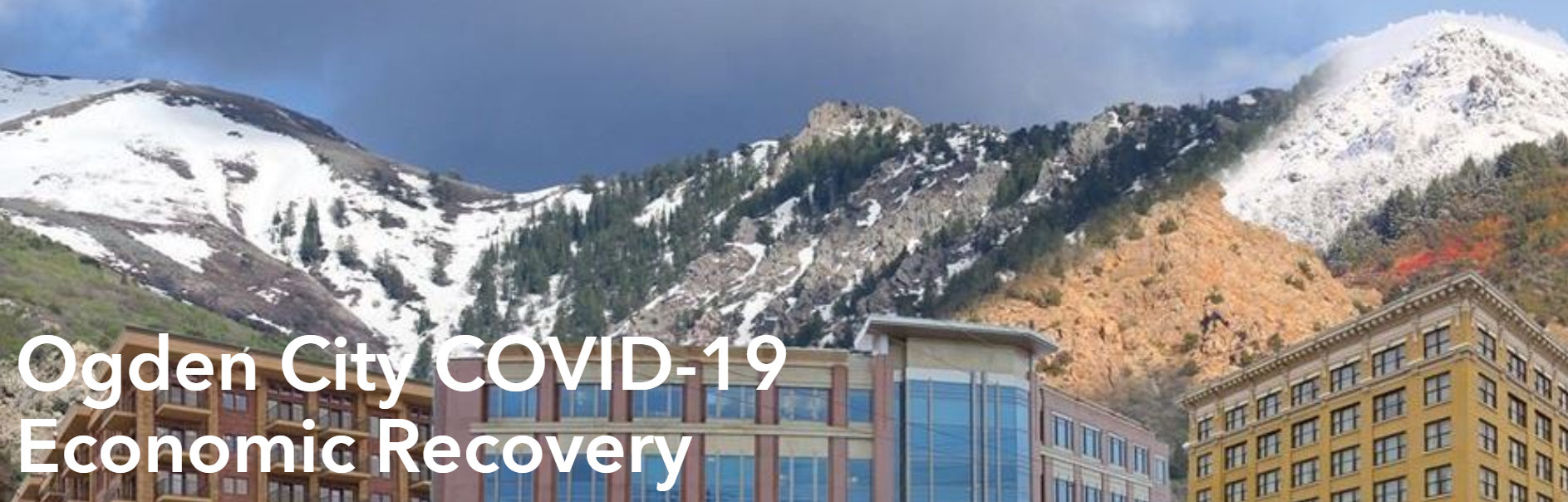 EconomicRecoveryResourceHub