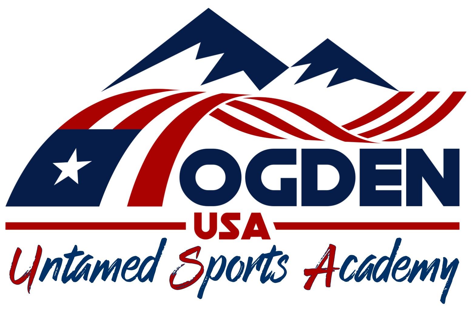 USA Logo